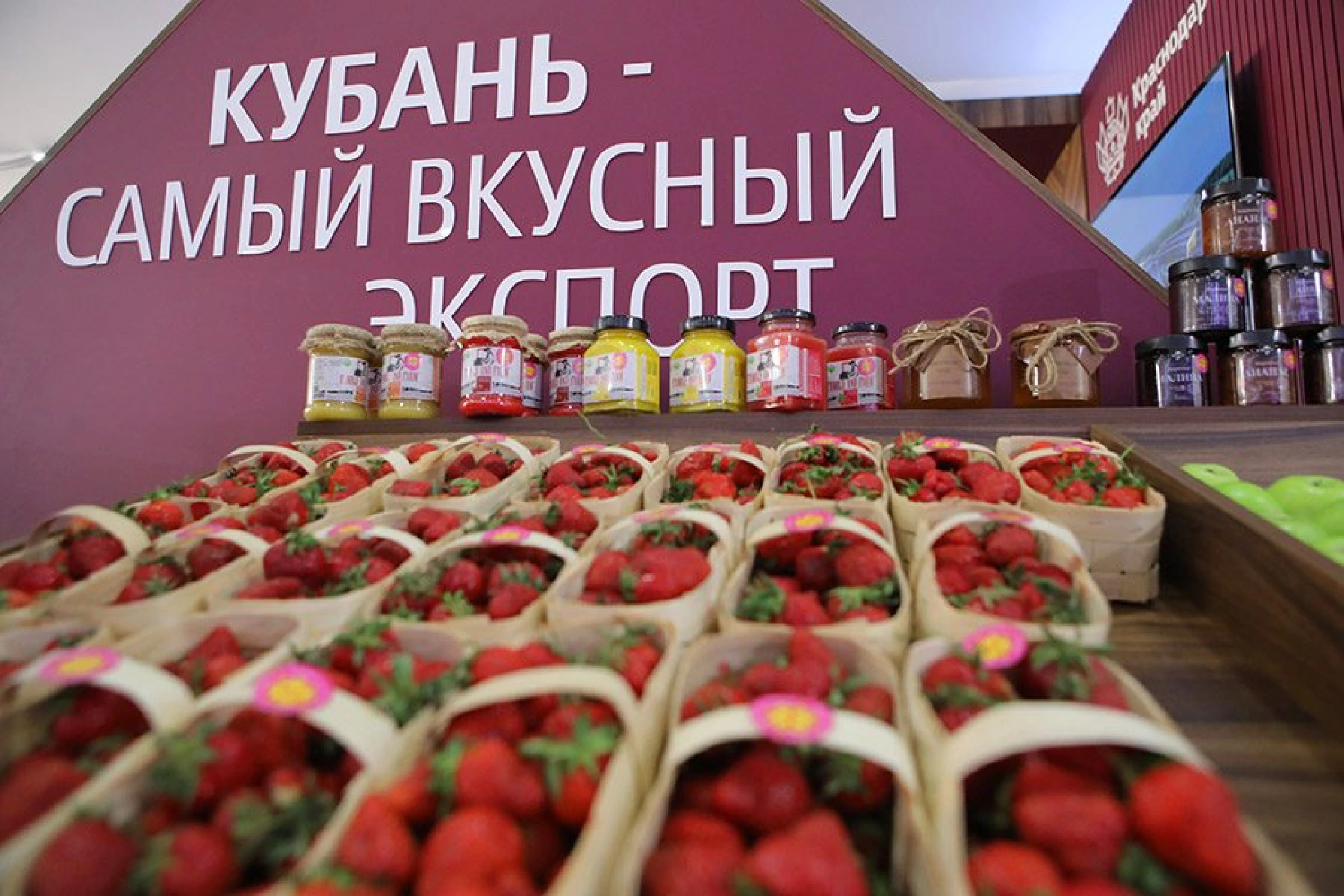 Стенд для Краснодарского Края